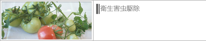 �q���Q���쏜