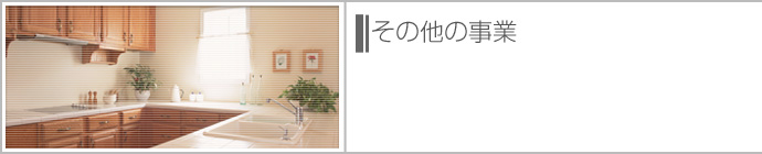 ���̑��̎��Ɓi���j