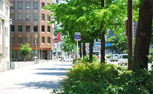 �O���[���L�[�s���O�C���[�W�ʐ^