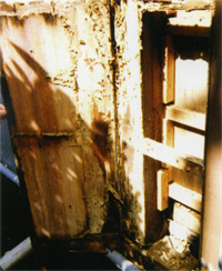 �V���A����Q�ʐ^